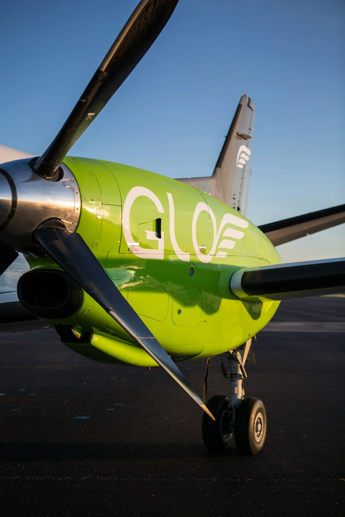 The green engine nacelle and white GLO identity on the aircraft.
