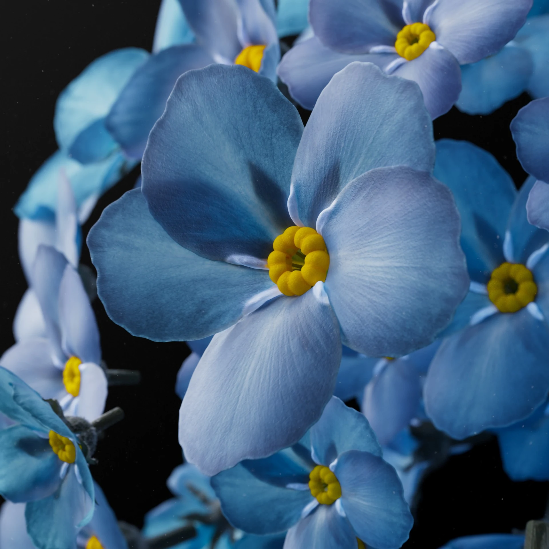 Petal surfaces, seen up close.