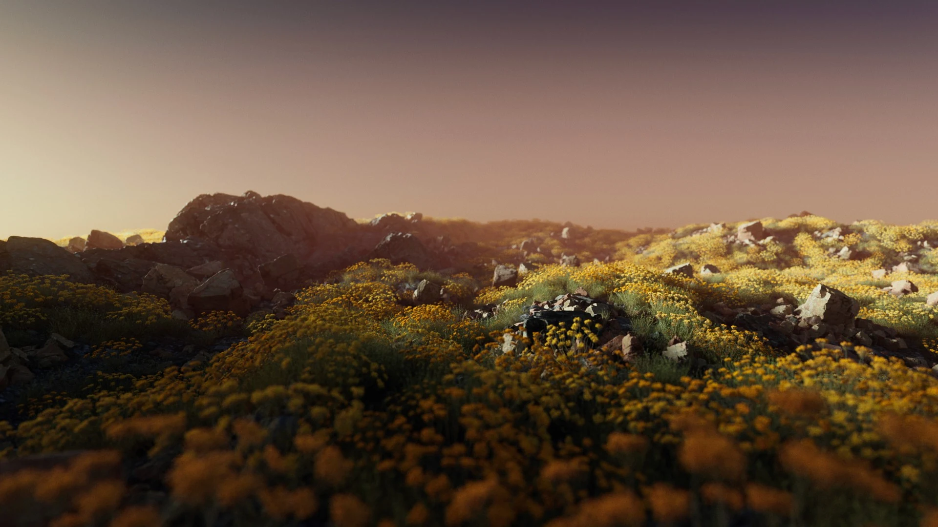 A miniature landscape, built around color and texture.